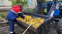 В Петербурге подвели итоги осеннего месячника по благоустройству