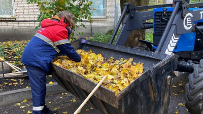 В Петербурге подвели итоги осеннего месячника по благоустройству