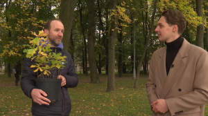 Экологическая акция «Дубоворот» — меняйте жёлуди на саженцы