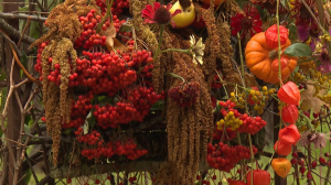 «Свидание с осенью» на Елагином острове