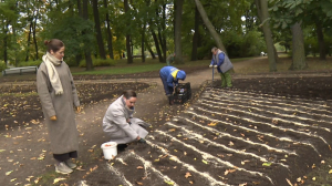 На Елагином острове начали готовиться к фестивалю тюльпанов