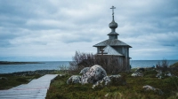 На Соловках нашли останки тропической черепахи