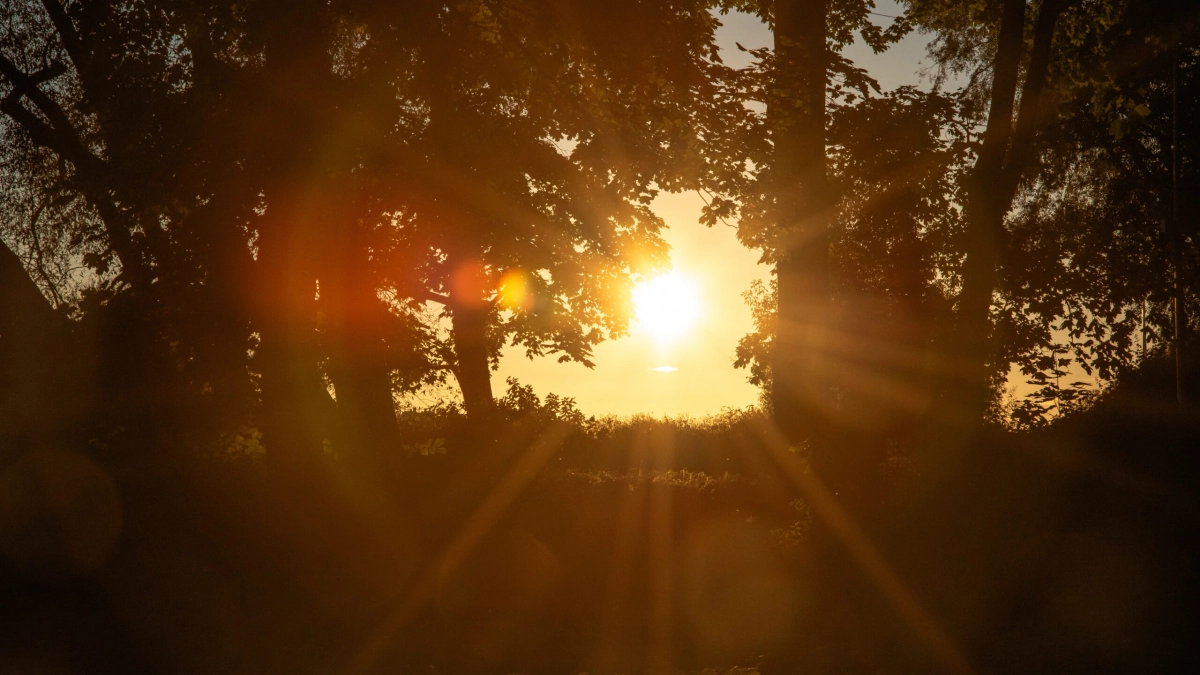В Петербурге сохранится жара в выходные 19 и 20 июля - tvspb.ru