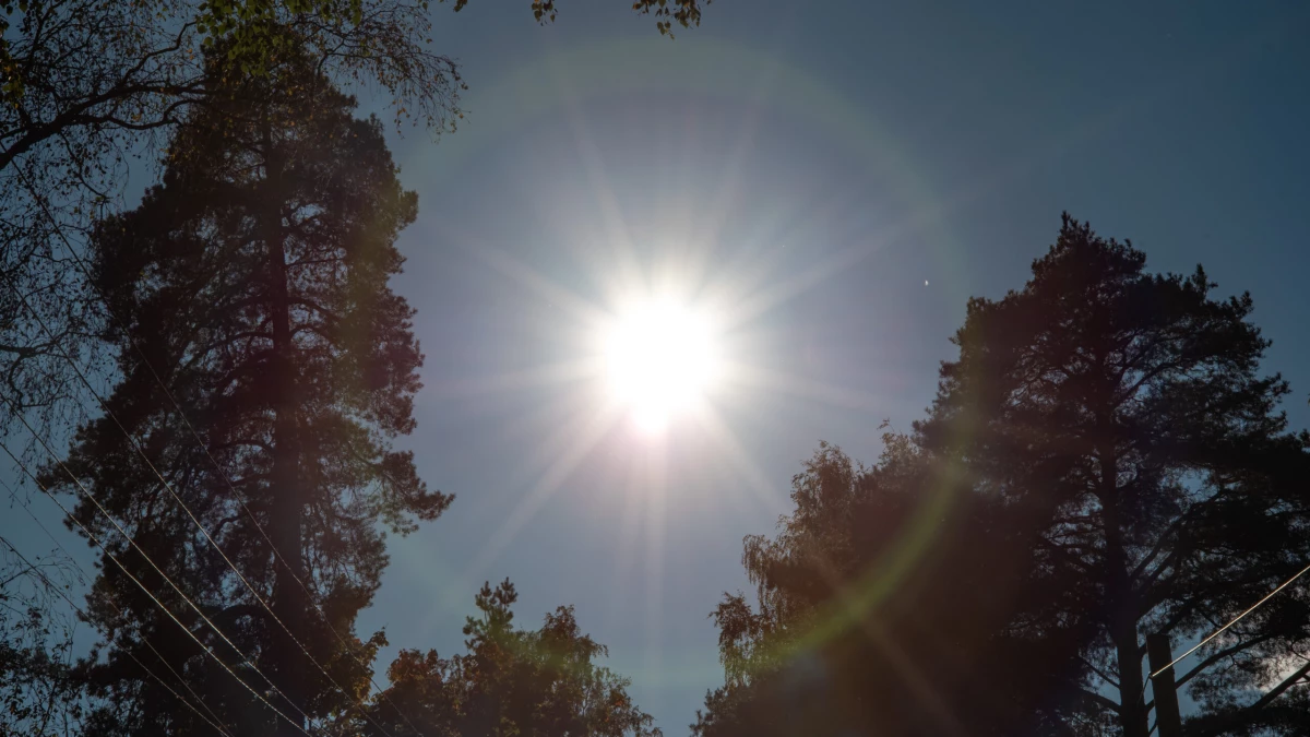 Александр Колесов сообщил, что 30-градусная жара может задержаться в Петербурге почти на неделю - tvspb.ru