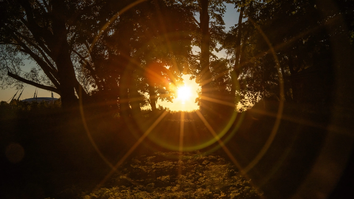 Солнце прогреет воздух в Ленобласти до +12 градусов 11 апреля - tvspb.ru