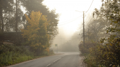 Редко бывает «чистым»: врач объяснила, почему туман опасен для здоровья