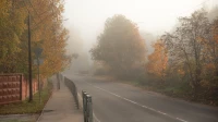 В Петербурге среда началась с потепления, дождей и тумана