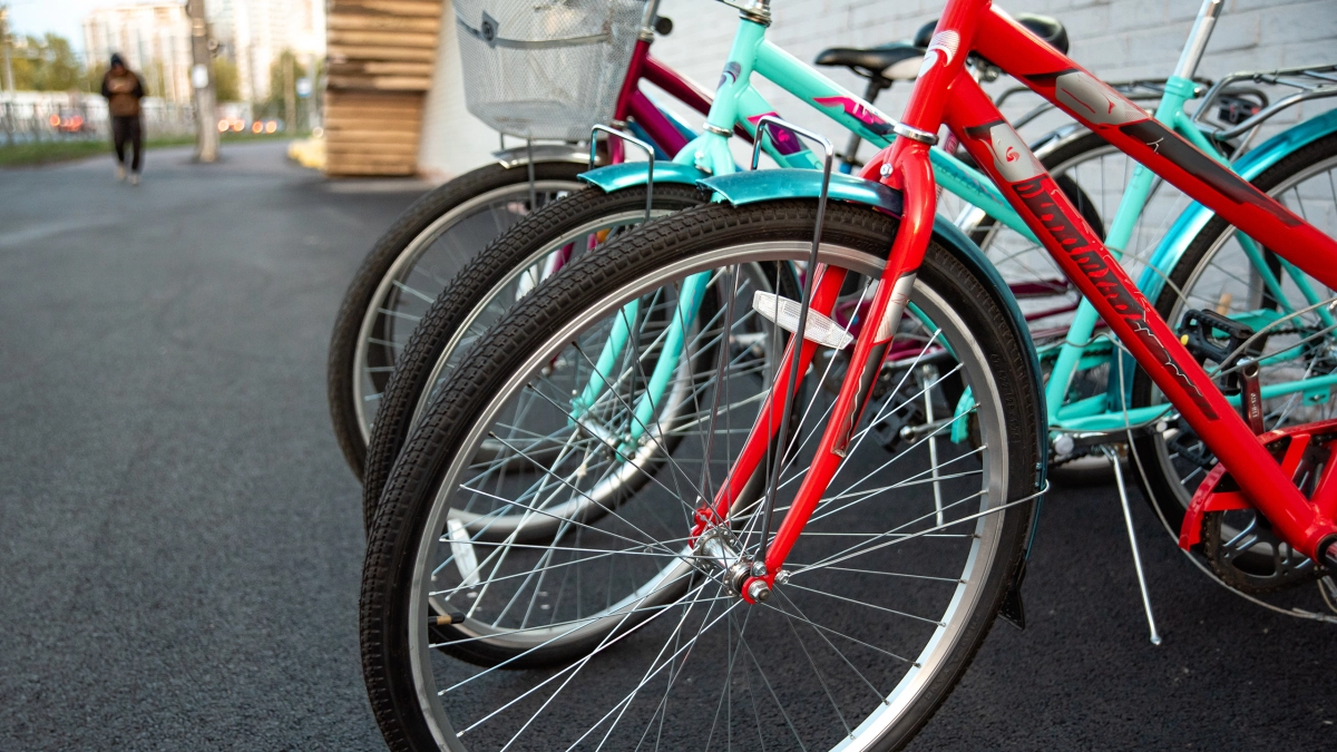 В Петербурге появились четыре новых веломаршрута в 2024 году - tvspb.ru