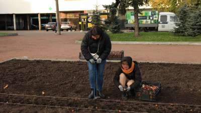 За неделю в Петербурге высадили 130 тысяч цветов, 1700 деревьев и более 6 тысяч кустарников