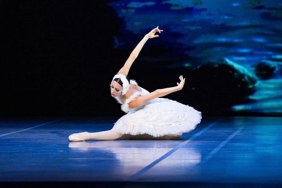 IX Благотворительный гала-концерт «Звезды Петербурга» состоится на сцене Александринского театра - tvspb.ru