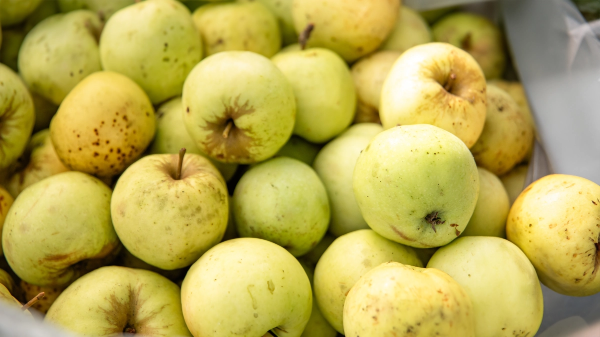 Максимум – 638 рублей за килограмм: яблоки в России подорожали на 6,21% с декабря 2025 года - tvspb.ru