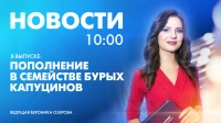 Новости Петербурга к 10:00