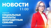 Новости Петербурга к 11:00