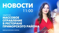 Новости Петербурга к 11:00