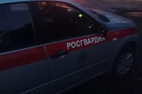 В Петербурге двое украли канистру, чтобы поджечь бар, но ничего не вышло: дизель не загорелся