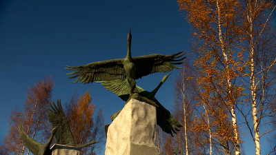 Петербург представил 15 общественных пространств на всероссийском конкурсе по ландшафтной архитектуре