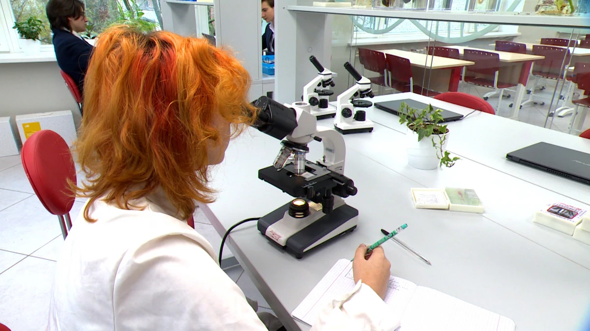 Александр Беглов: Определен порядок предоставления городских субсидий вузам, реализующим программы среднего профессионального образования - tvspb.ru