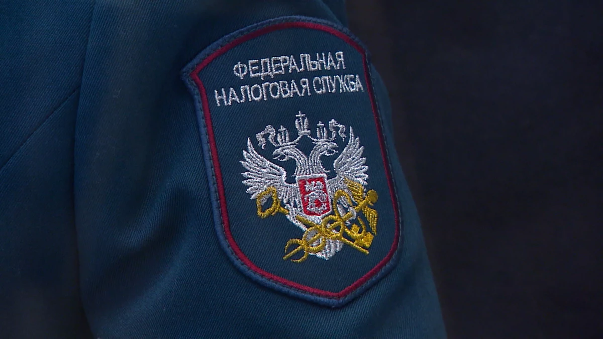 Деньги за занятия спортом: кто сможет вернуть налоговый вычет за тренировки - tvspb.ru