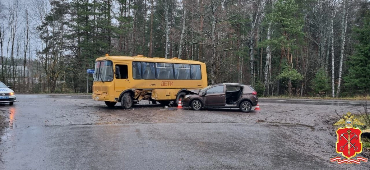 Пять человек пострадали в ДТП со школьным автобусом под Лугой - tvspb.ru