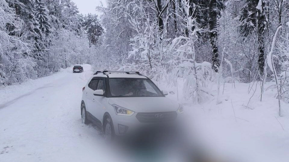 Уголовное дело возбудили после аварии под Приозерском, где погиб пешеход - tvspb.ru