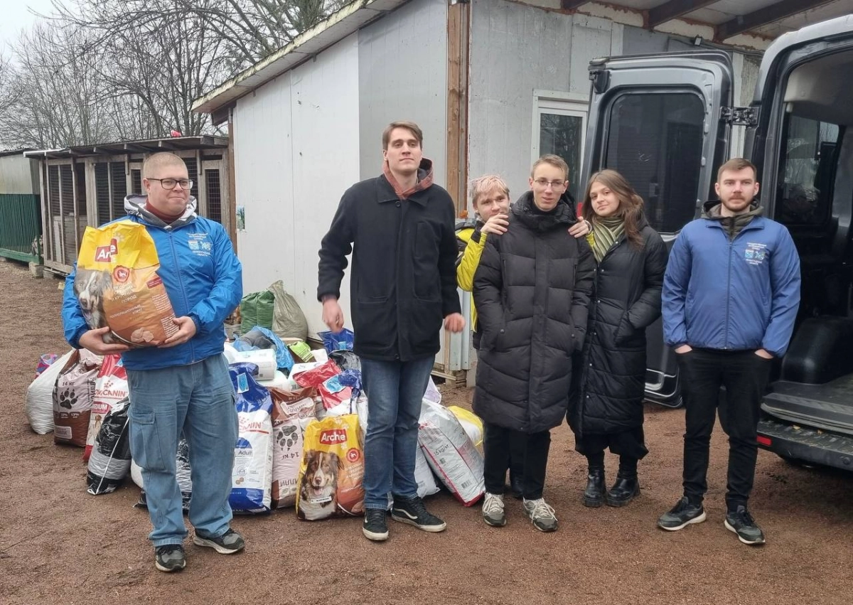 В Ленобласти собрали 200 килограммов помощи для приюта «Всеволожский пес» - tvspb.ru