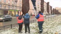 В Петербурге начали укрывать на зиму деревья