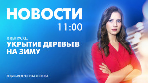 Новости Петербурга к 11:00