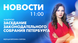 Новости Петербурга к 11:00