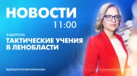 Новости Петербурга к 11:00