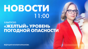 Новости Петербурга к 11:00