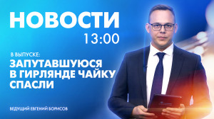 Новости Петербурга к 13:00