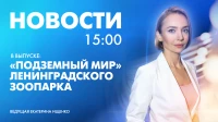 Новости Петербурга к 15:00