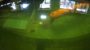 Созданный в Петербурге робот для Арктики