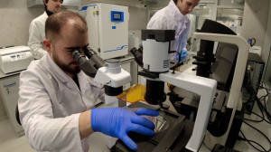 Передовая инженерная школа ИТМО