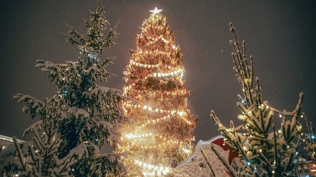 Петербург планируют украсить к Новому 2026 году за 356 млн рублей - tvspb.ru