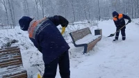 В садах и парках Петербурга усилили борьбу со снегом