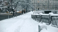 Петербург готовится встретить Новый год в сугробах: выпадает до 7 см снега