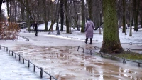 Петербуржцам рассказали о погоде в Новый год