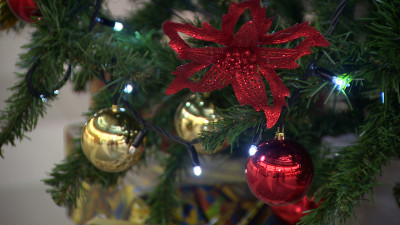 Валентин Енокаев и Александр Ситов присоединились к акции «Дерево желаний»