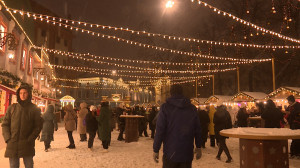 Хорошо ли знают петербуржцы литературных символов предстоящего года?