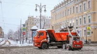 Петербуржцам показали, как чистят от снега районы города