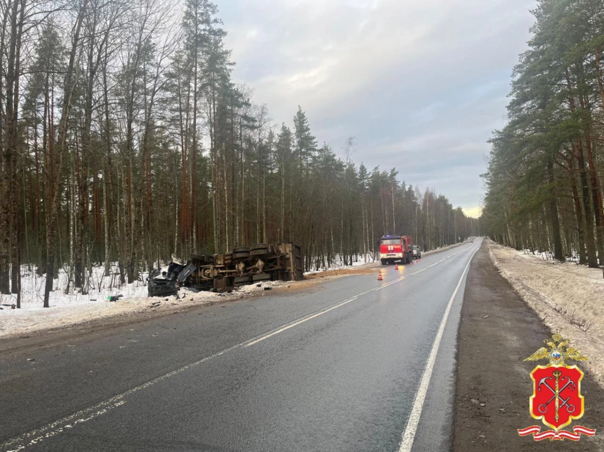 На автодороге «Огоньки — Стрельцово — Толоконниково» произошло смертельное ДТП - tvspb.ru