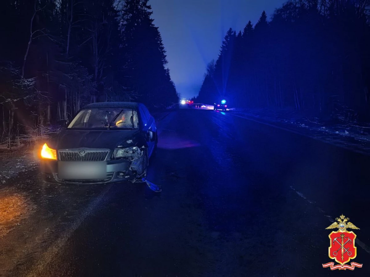 Недалеко от поселка Сиверский насмерть сбили пешехода - tvspb.ru