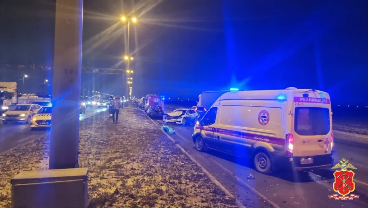В Петербурге проводят проверку по факту смертельного ДТП в Пушкинском районе - tvspb.ru