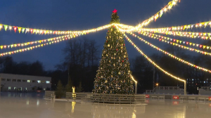 Каток на Елагином острове готов к посетителям!