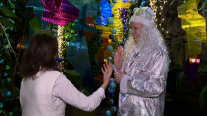 Джунгли в Новогоднем стиле