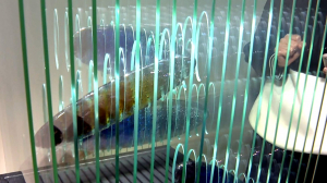 Многослойные скульптуры из стекла