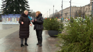 Новогодняя атмосфера несмотря на погоду: Московскую площадь украсили хвойные композиции