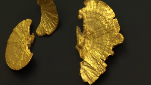 Рождественский гимн природе и ботанике. Рождественская вытавка в Ботаническом саду