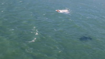 Минприроды: Ситуация с разливом нефтепродуктов в Керченском проливе находится на контроле